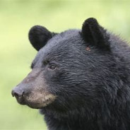 Десантники