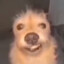 P&#039;ER DUN