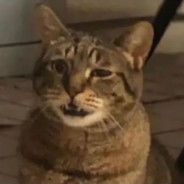 上门修电不给钱还打人