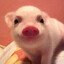 Avatar of Pige