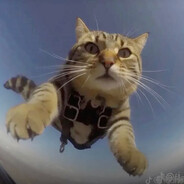 meowdy