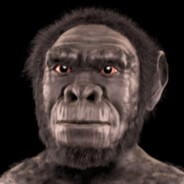 Homo Habilis