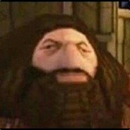 hagrid the wise