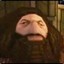 hagrid the wise