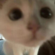 在喝下清水的夜晚