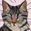 Ashfur (catcel)