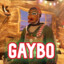 Gaybo