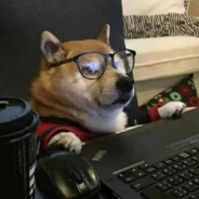 嘴炮小贱张某人