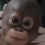 Baby Orangutan