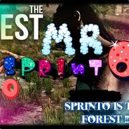 MR[PRO]sPrInTo