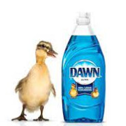 Dawn