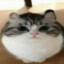 セラミックス