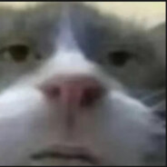 先让老爹拉个大电