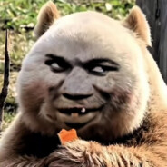 万千杰瑞领导者