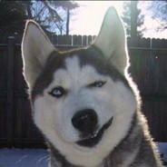 恶灵小姐  我可以进入你的洞吗？