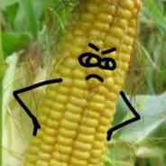 Corn