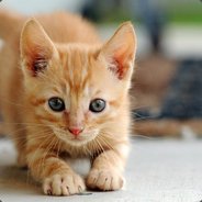 MosMind avatar