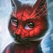 Spider-Cat
