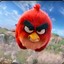 ANGRY BIRD