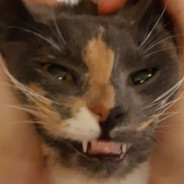 Crippling Depression