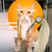 哈基仙（幻影哈气大师