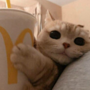 十八里米的大迪克