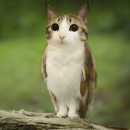 Кизяка (нищий)