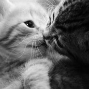 мяу - steam id 76561198331311068