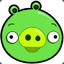 GREENPIG