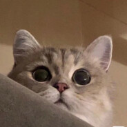 哦泡Ooooooooooooooooo