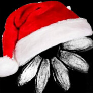 🎄GameClaus🎄's Avatar