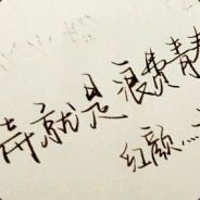 潇洒飘逸的树枝