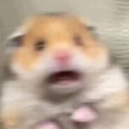 21岁火辣猛零王岩