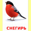 Snegir'