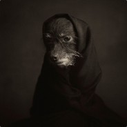 Артём Пудов 🆓 avatar