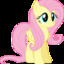 Fluttershy