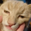 fidogaming02