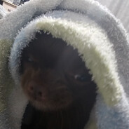 I - steam id 76561199162495055