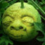 Melon Head