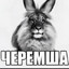 Жей Бидов
