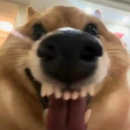 粉笔只有学校有