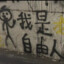 风不曾带回她