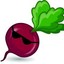 CoolBeet