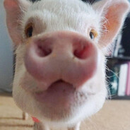 kinderio - steam id 76561199814871329