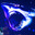 shark