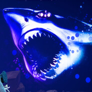 shark