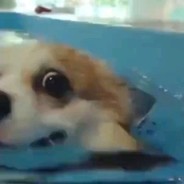 天天都想睡懒觉