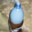 VODNIK