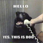 Quafnar - steam id 76561197970978973