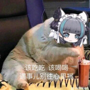 飞舞不起来的兔兔